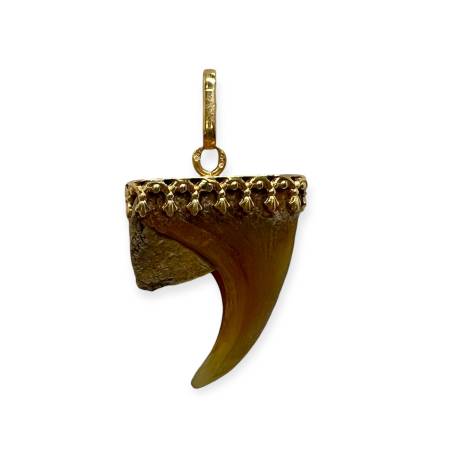 Pendentif griffe en or 750